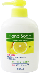 日本第一石鹼殺菌消毒洗手液 (250ml)