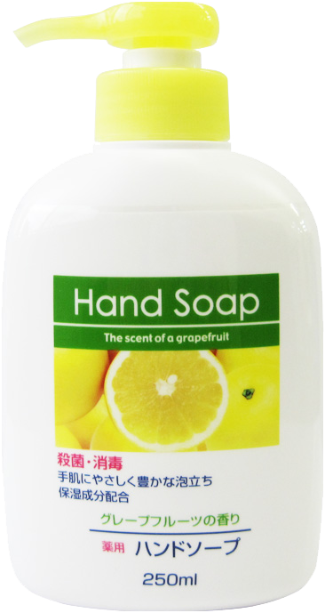日本第一石鹼殺菌消毒洗手液 (250ml)