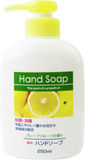 Daiichi Medical Hand Soap 250ml